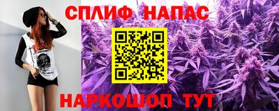 a pvp Славгород
