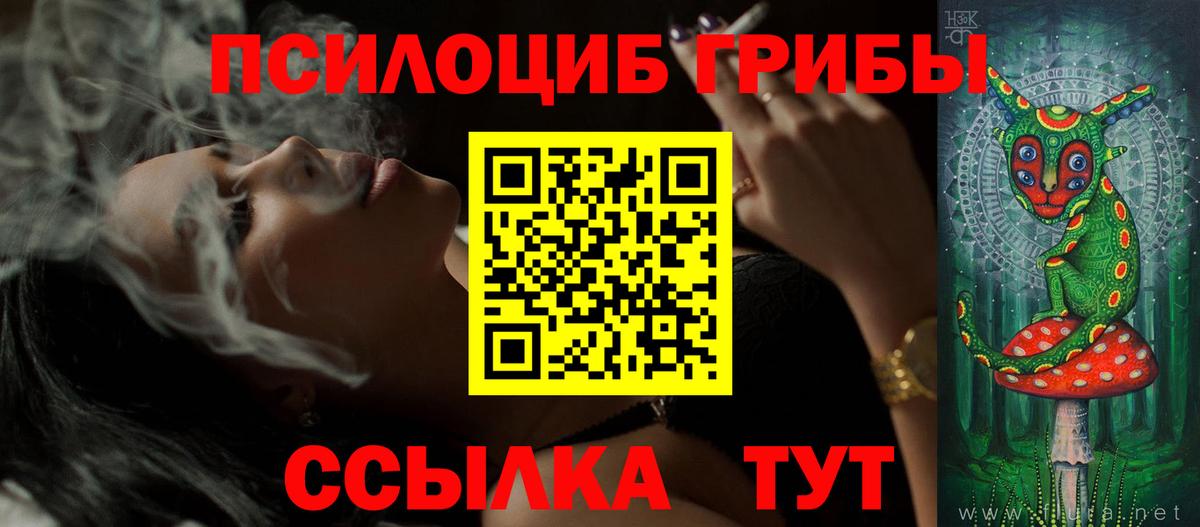 Галлюциногенные грибы Psilocybe Братск